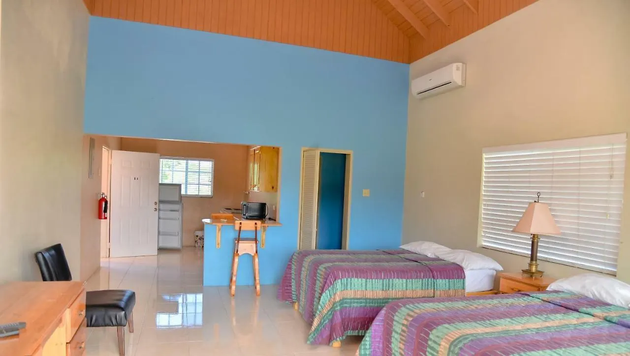 Sea View Apartments 内格里尔