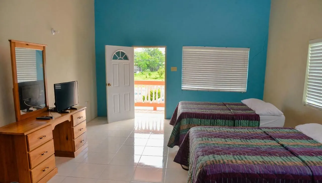 Sea View Apartments 内格里尔 0*,  牙买加